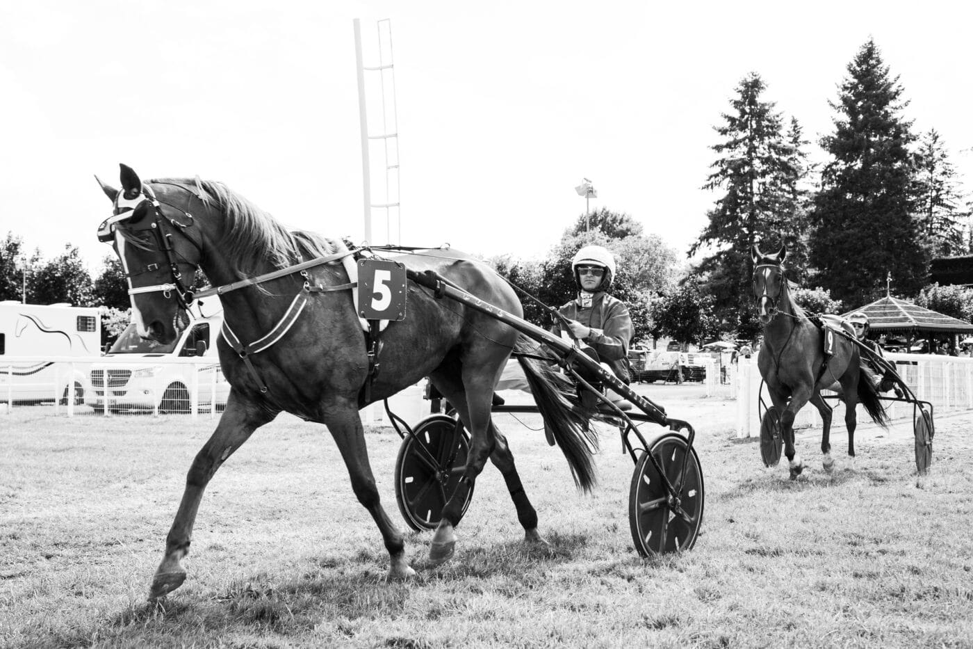 Hippodrome de la Gatinière 2025